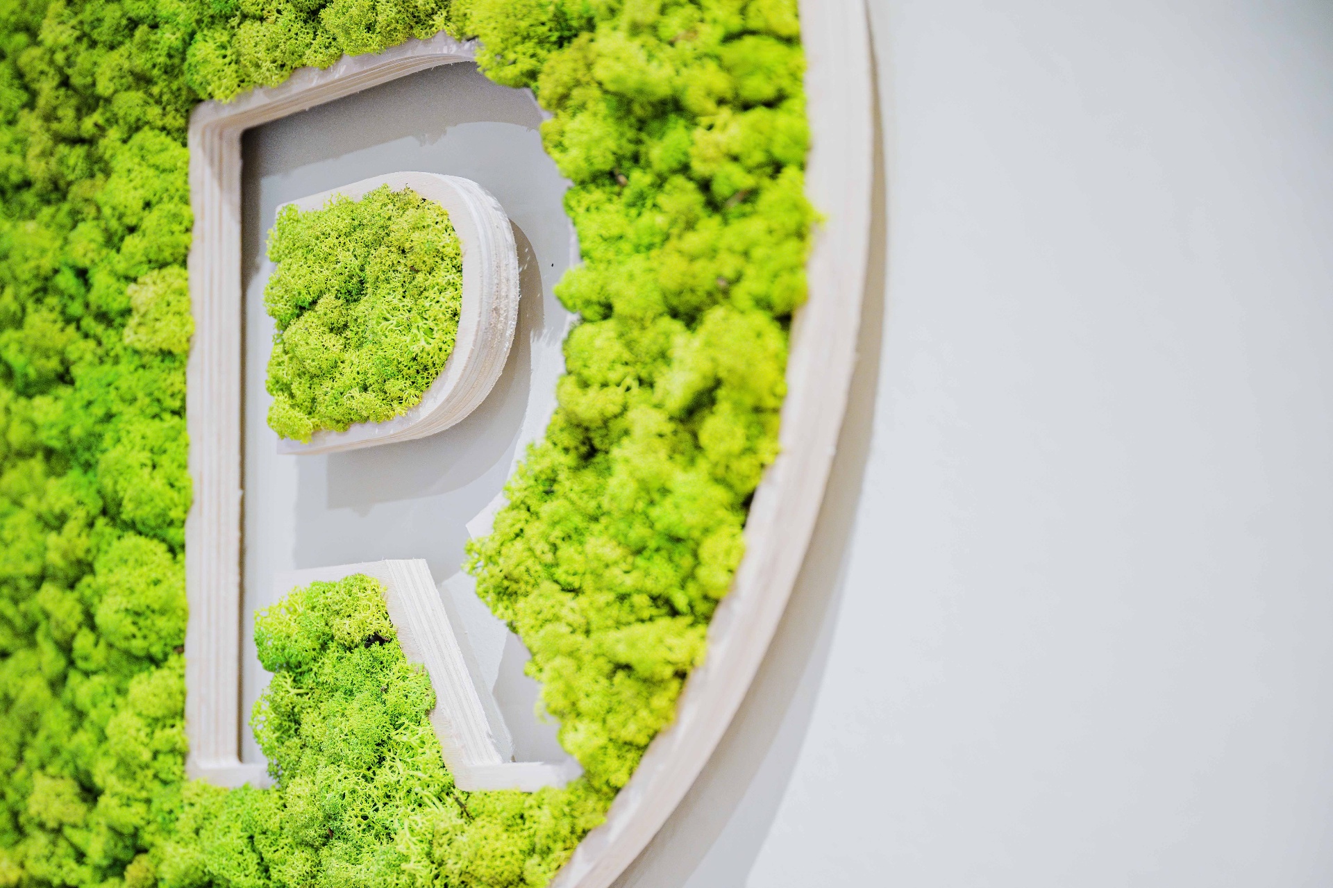 Logo R Relyance en mousse végétale stabilisée dans les locaux de Vendenheim