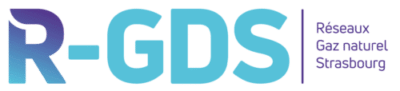 Logo RGDS